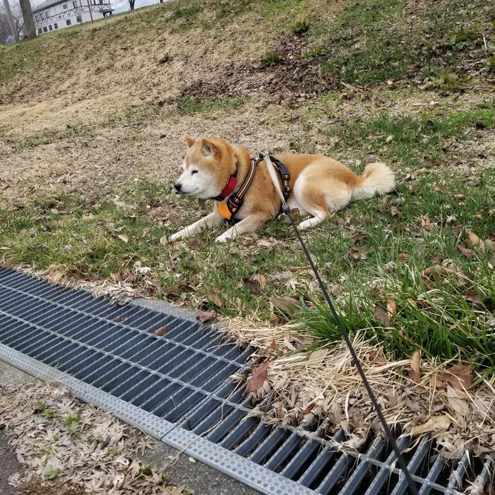 4b504b12 f89a 4560 a7e6 b2eb2aec262b 1712289175808