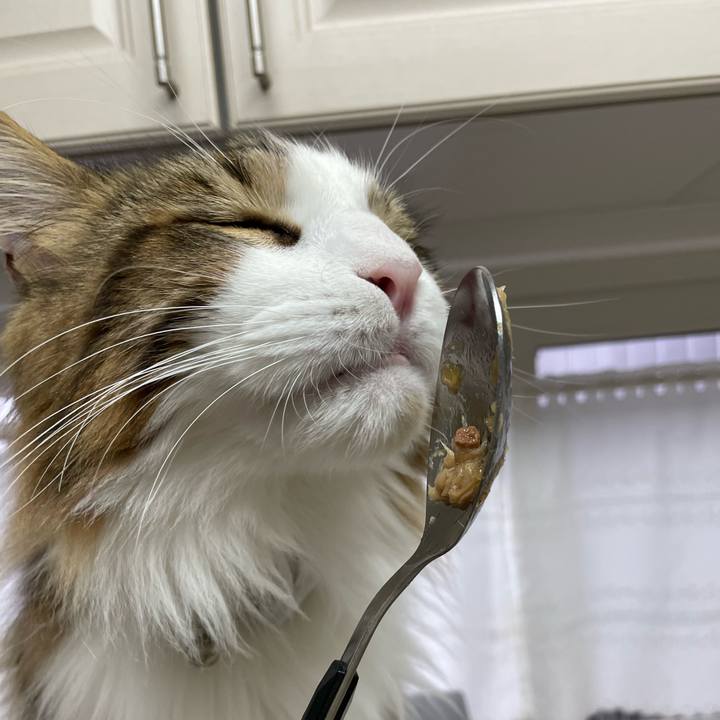 4b508a97 f5a5 40c1 a54f 3cbebbdd8eed 1655497776904