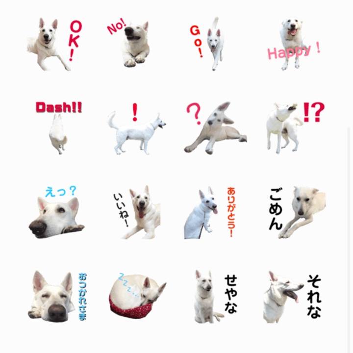 4b5098cb a2b5 4340 bf43 fe4169143c48 1575373681609