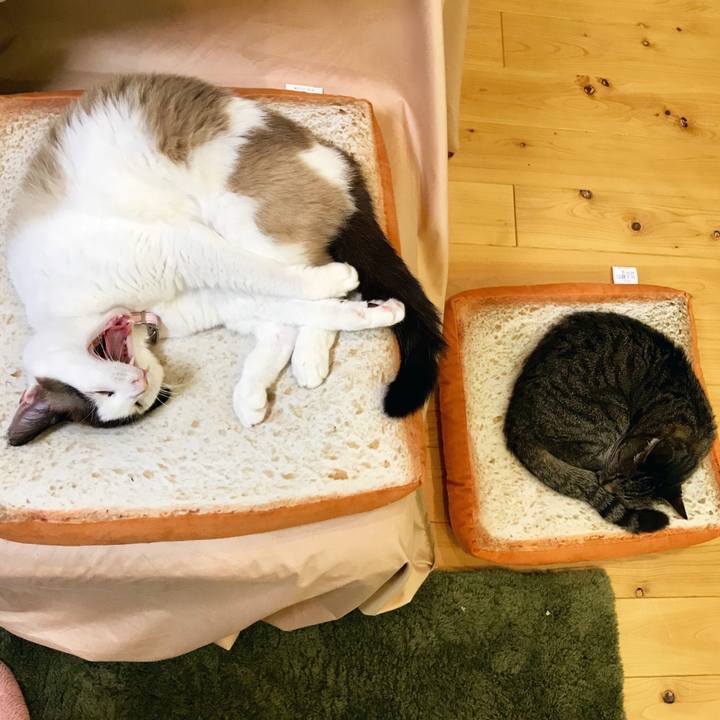 4b50c3ef 8b30 4205 80c2 73b0241faf29 1526126993952