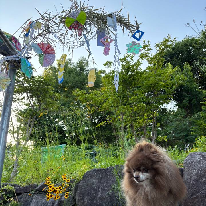 4b50d6a4 a0e1 4b11 963c c35d386e3519 1752004459264