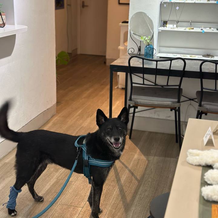 4b50f65a 11d4 44e8 86f4 a59af3fcf919 1728259239564