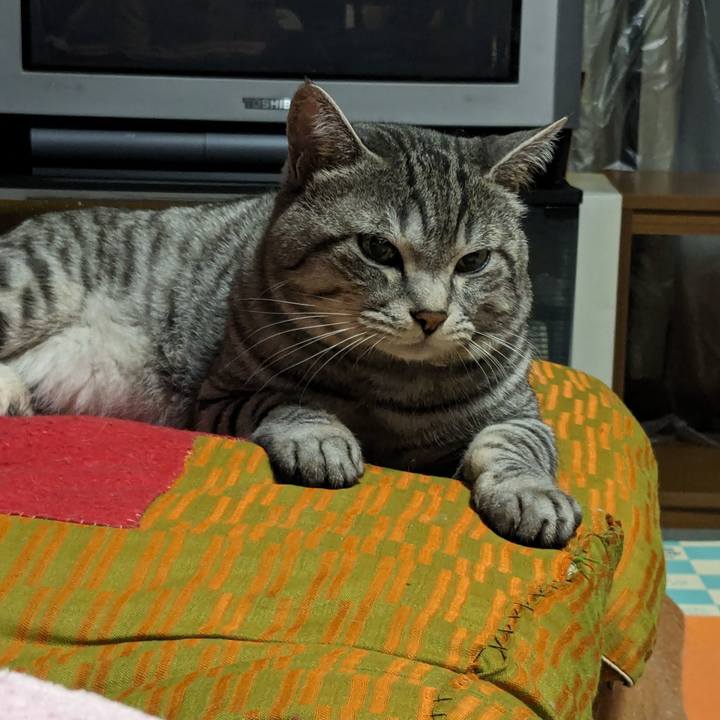 4b51073e 1064 47a0 a0ba 5e4510c9be79 1707652957556