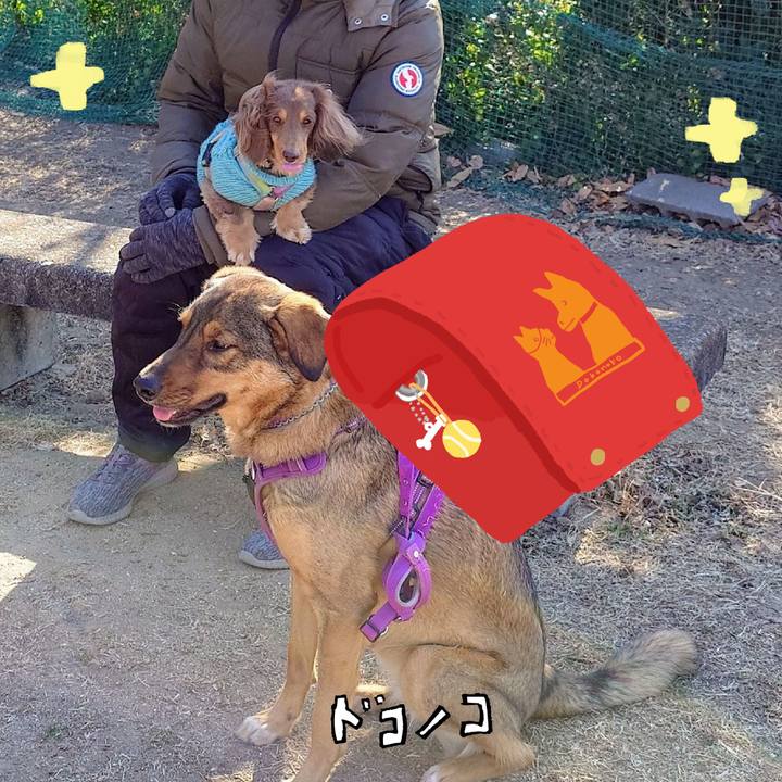 4b510b07 9e3f 4df1 8b08 e9eb2aeac9e9 1744288277552