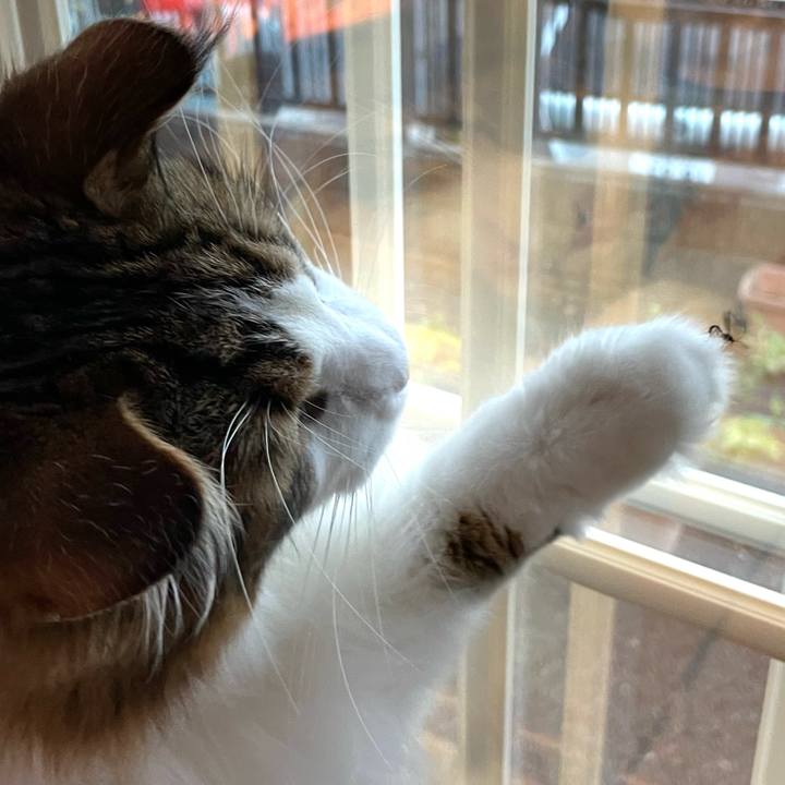 4b516266 e701 4650 90de d3278f587cfe 1663967851753