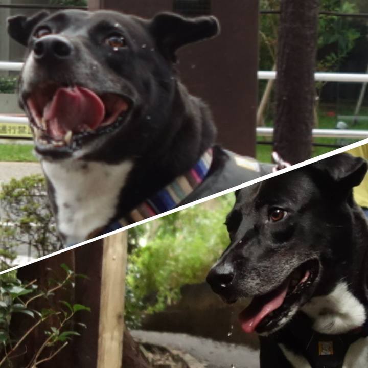 4b5175ec 3a07 424f b39c 2bafa224b799 1662685749116