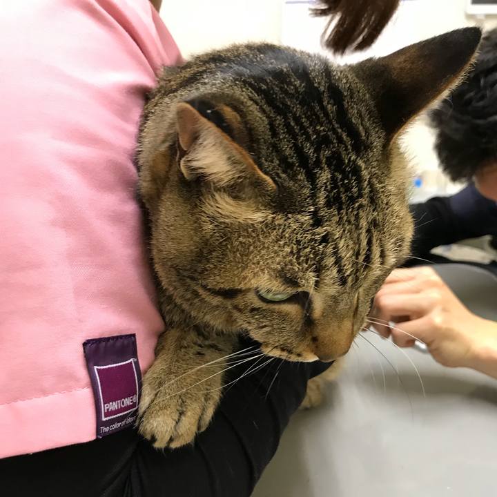 4b5177b7 a5aa 4c3d ac06 2499a5aece9f 1521707605403