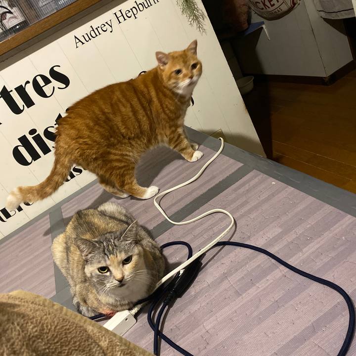 4b518ac9 a658 47b7 878f eab29ca2e088 1665413343659