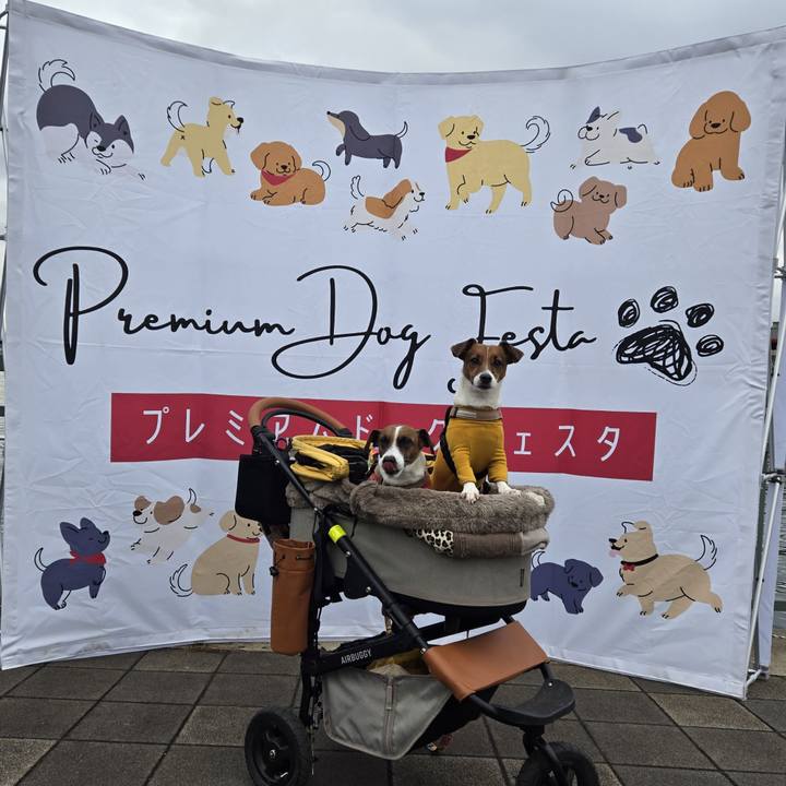 4b51d19a 463f 4b15 a8c7 766c2e8bac09 1766837098344