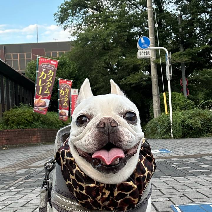 4b5227c1 d87d 4a2f aa0f 1a376fbcc227 1690002959133