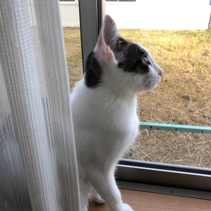 4b526add 122a 4b7a 9cb8 6af604f382bd 1572131993077