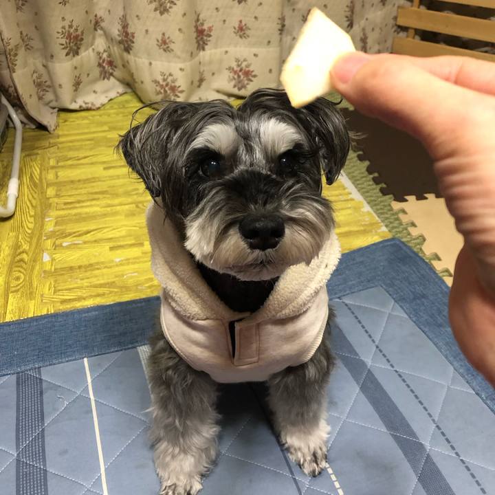 4b526b52 2895 44a2 88ad d85cf58fd5b9 1703076708067