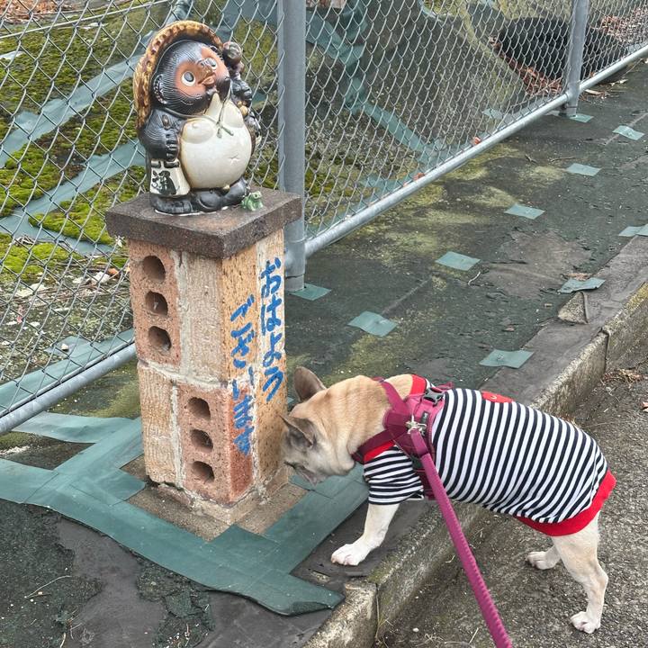 4b52765e e826 4f15 8551 b7727882c016 1766494164921