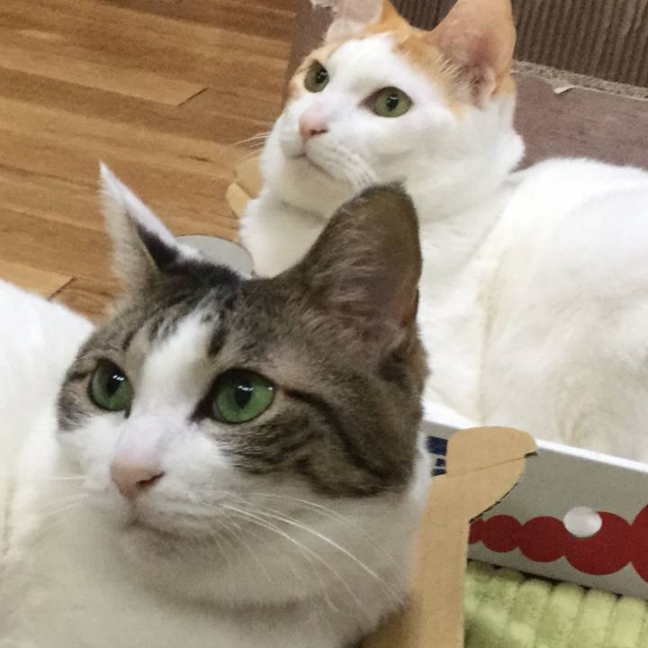 4b527d5d 0e3d 4132 956b 2f68310657f6 1551511379734