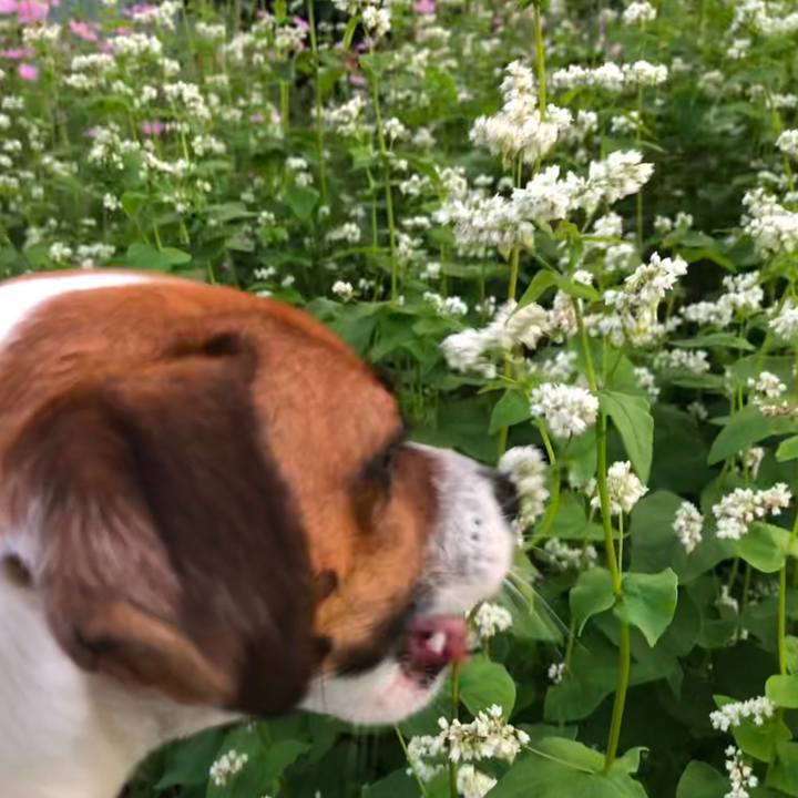 4b5284c8 5956 4b0f 871b 95efb9877bdf 1567683760879