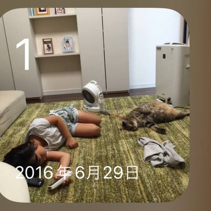 4b52a80c 96c0 49a5 b3bf bdc0986da7ab 1688217273738