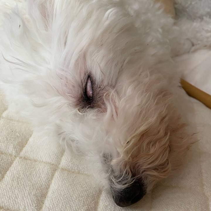 4b52b79a b99f 4786 8295 38f846fa0bfb 1729058510648