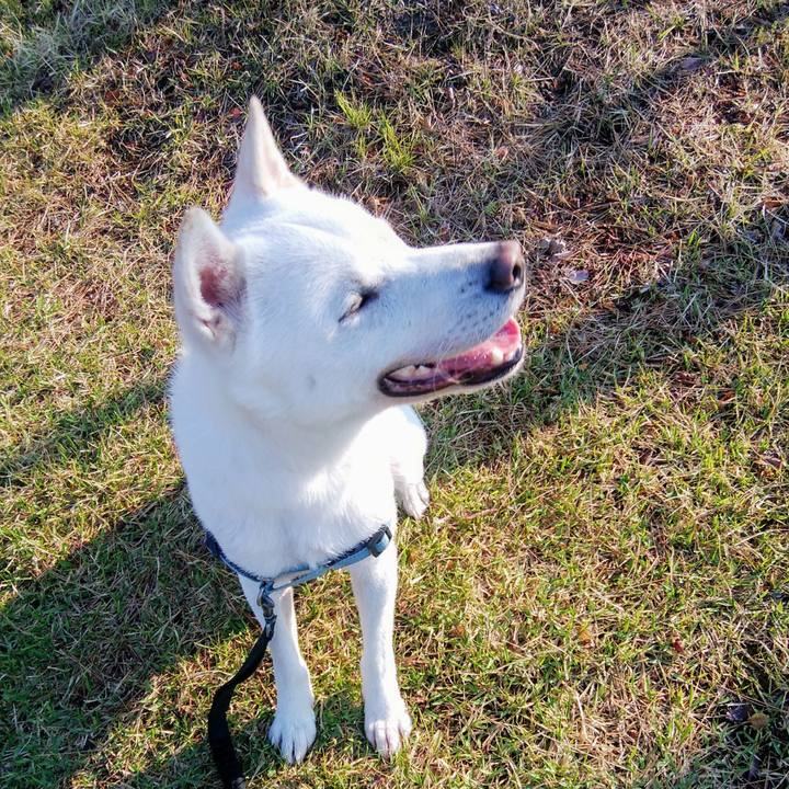 4b52e24d 821b 48a3 a9aa 1c51fe927f07 1557573733297