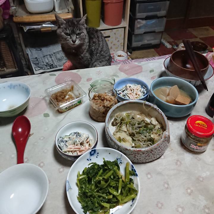 4b535fd9 2f0a 4305 8a0f 27804d3e7d9a 1584617652341