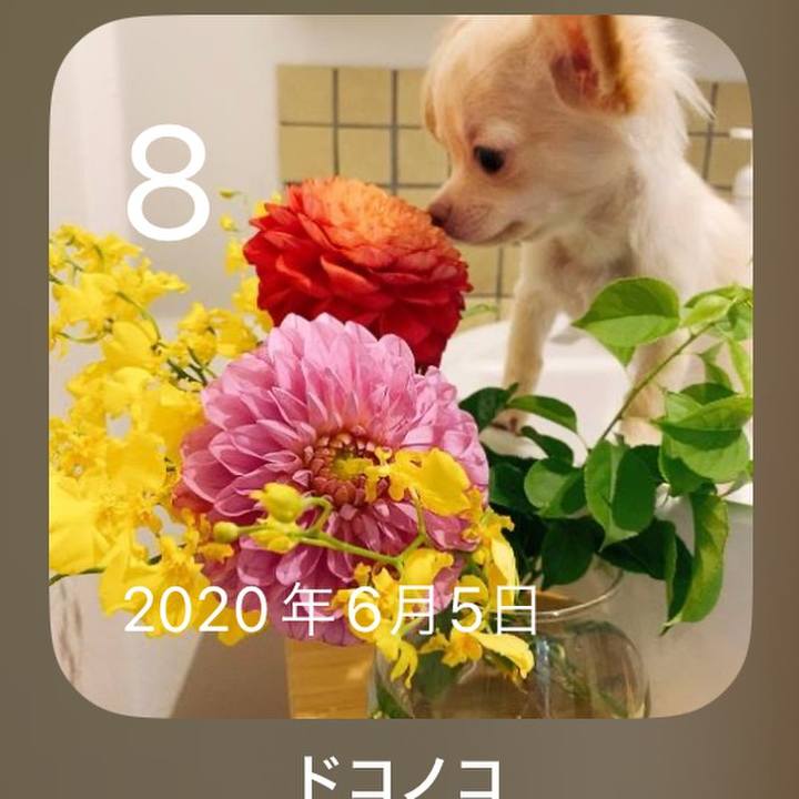 4b537695 34ee 470b 8d3e a6ffd9d9df67 1686222717323