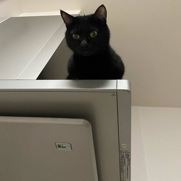 4b53a73b b2b2 4acd af9a 98add7cb100b 1634990291725