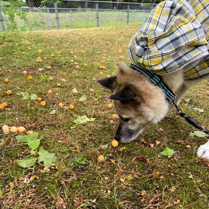 4b53a808 8f8c 47ba a437 5882d40705d5 1726986767401