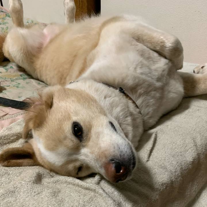 4b53aeea 0cd2 4848 b01f d1e6372c914b 1591446013877