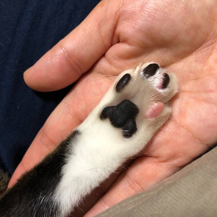 4b53c864 77eb 4d0e b34a c2d857ba03d6 1633785058329