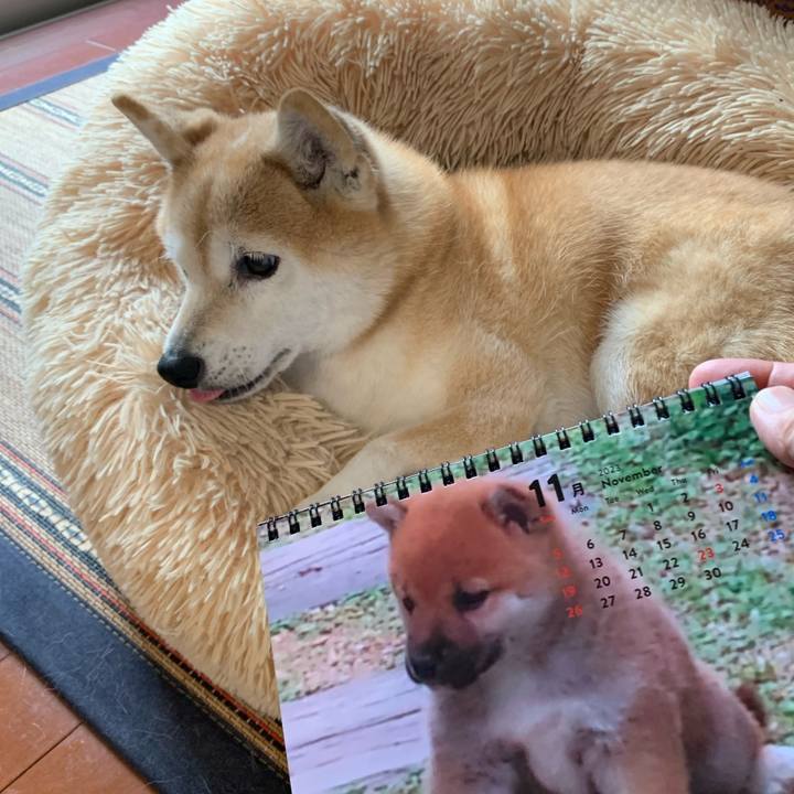 4b53cc85 53cc 4723 b1b7 5fc982071371 1698884802238