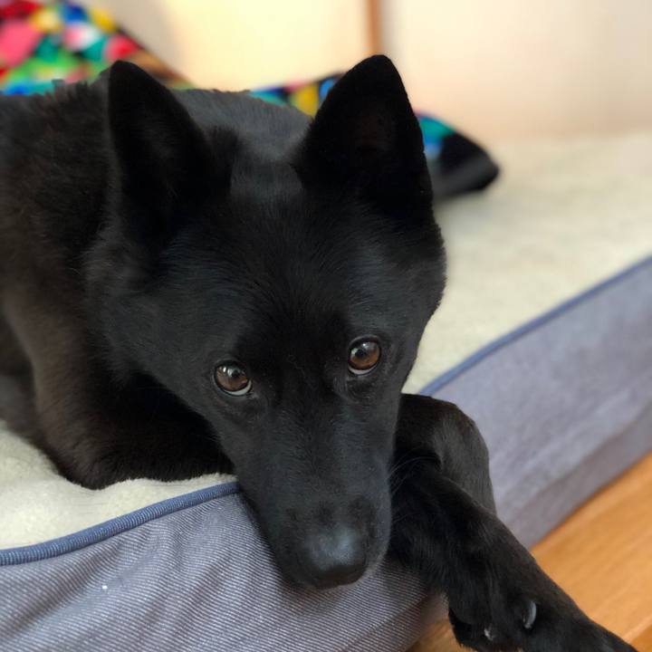 4b53d969 f158 485a a2d0 5fe3fcd1da15 1612583909315