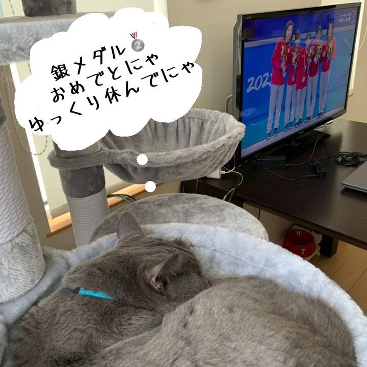 4b53ec6c 7789 42e6 bb00 cc8eee9804d3 1645329638083