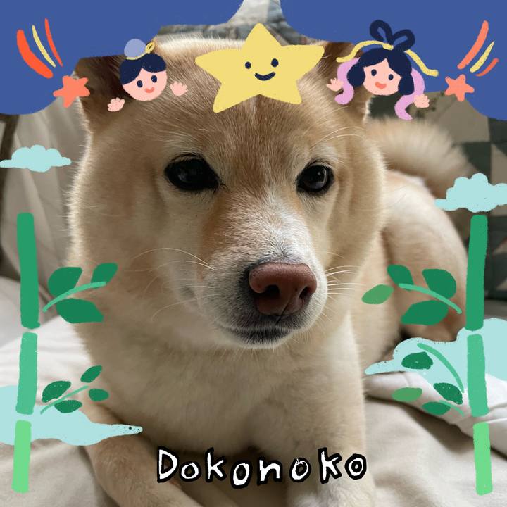 4b53f1ae 13f6 4e58 8d69 1faba606e121 1721193539356