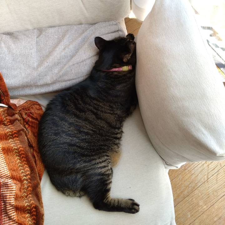 4b540ed9 79f3 406b b725 e724af3bfd90 1766033083654