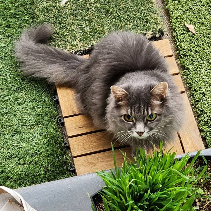 4b541c93 e5e6 47b1 a7c1 dd109542cb4c 1698583268255