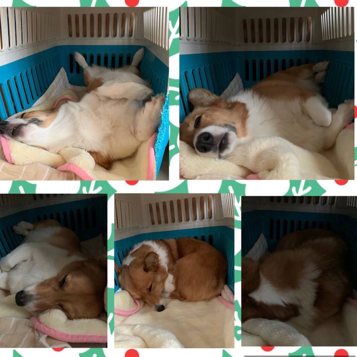 4b545556 972f 4ddc 813b fef9028f9417 1577264701977