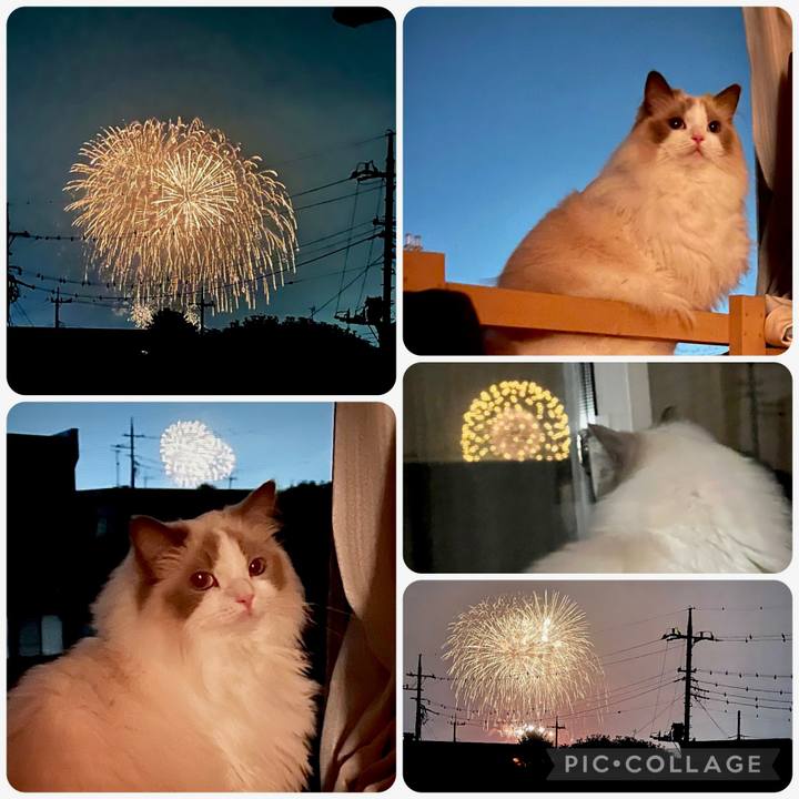 4b545764 6089 4cdb 94bf 693926d6b6ef 1661063670307