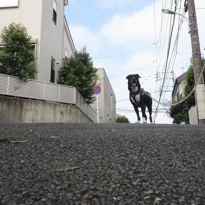 4b545ad4 e750 44de a42f f6a0b22c9a28 1662339476365