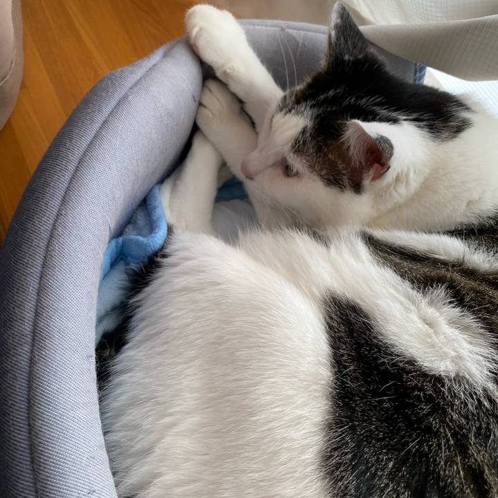 4b546bcf 9e03 48e9 9563 13f1427d866f 1787028686549