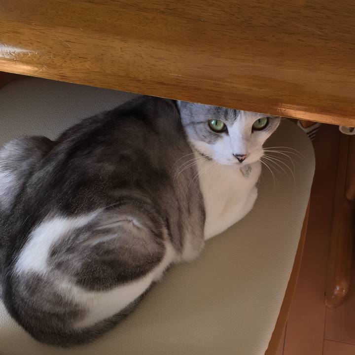 4b5473f1 5026 40d3 81e8 4d9be64e3ae7 1519004639695