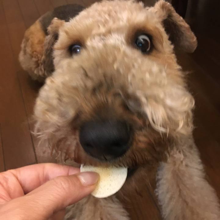 4b54a445 33f9 4ec1 9a0a afed9a76f73a 1556583374550