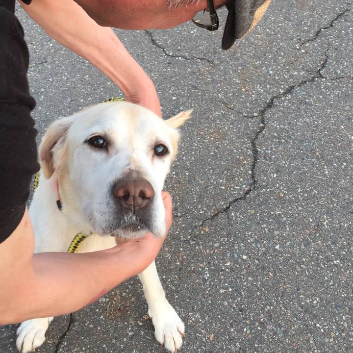 4b54b691 2091 4219 9565 c65ec699653f 1549370983884