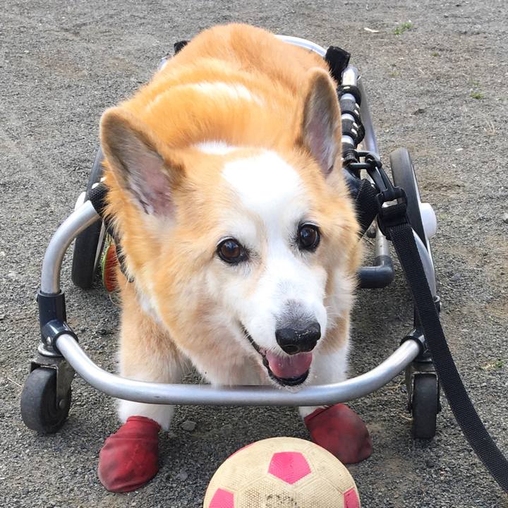 4b54be4a c8a9 4f94 8b8f fce9de49c1a7 1581640834135