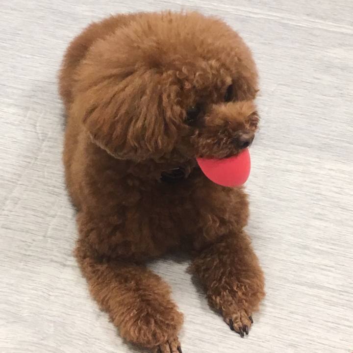 4b54c716 be58 4dc5 a8f3 ad1564e306e2 1530617119544