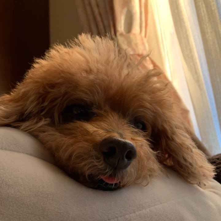 4b54d138 1e9d 46d5 9c99 7ec4344e2ed0 1606881910141