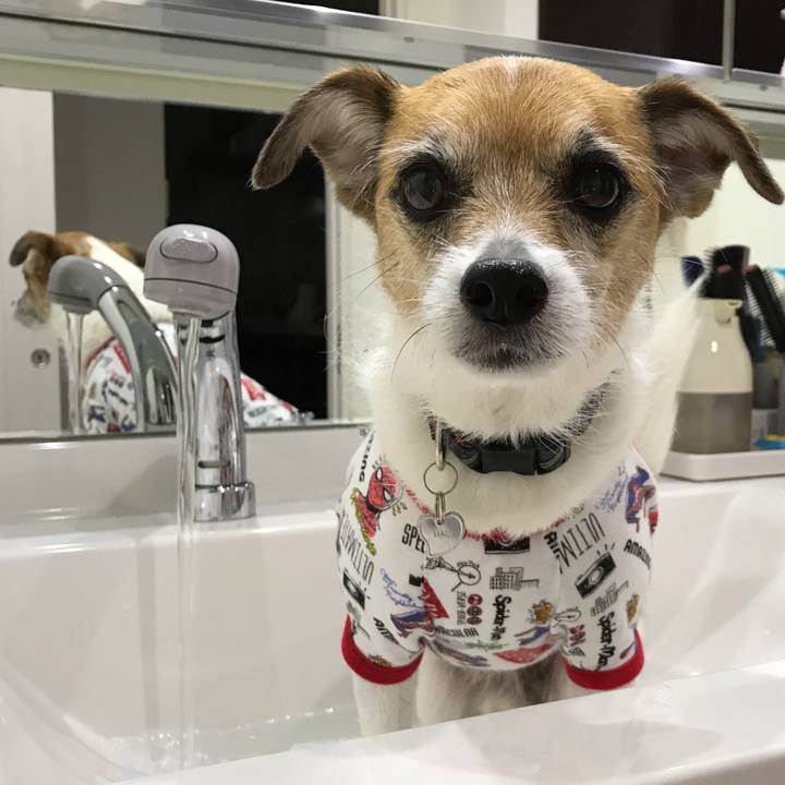 4b54f3a6 565d 4d11 9dad c071af046dc4 1559211559767