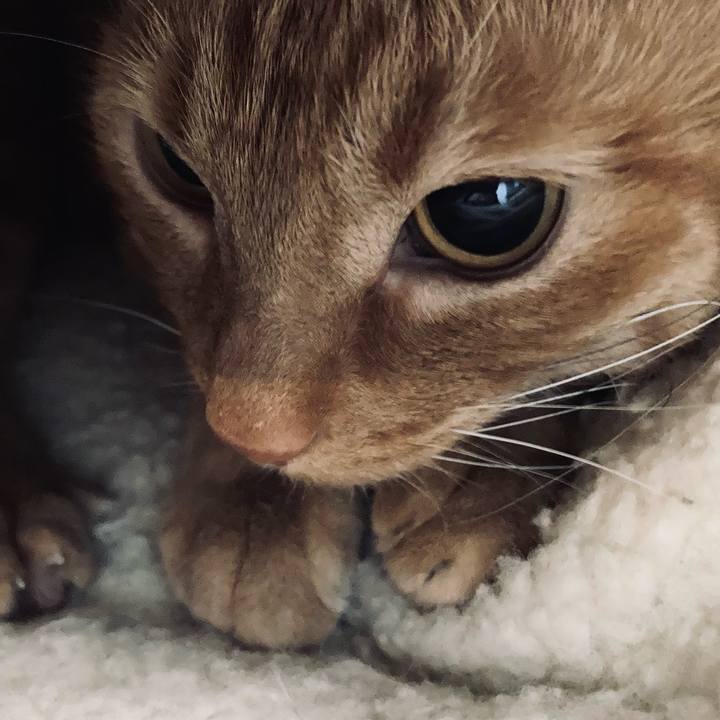 4b552d5d cfb2 404b bb32 55ef39b27bca 1615008386794