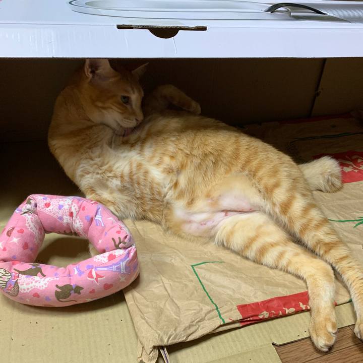 4b5544b0 35ab 438e 9027 599528d86fd0 1570788888733