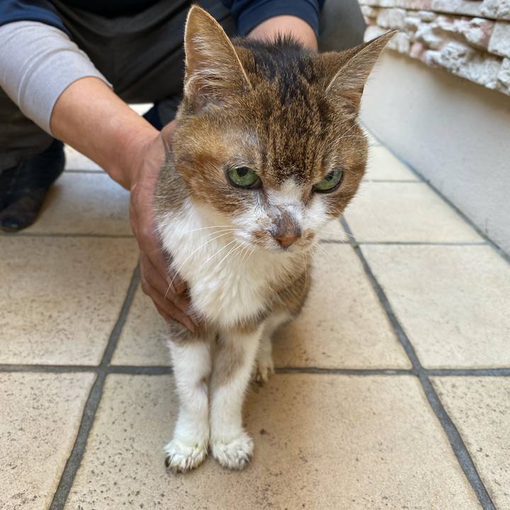 4b555ca7 38e8 4f61 b5c5 29e5ebe90971 1584506025125