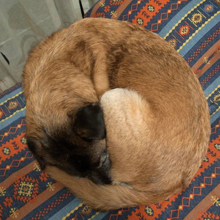 4b556954 8d7f 46c3 8ae2 a465974e2909 1583280754865