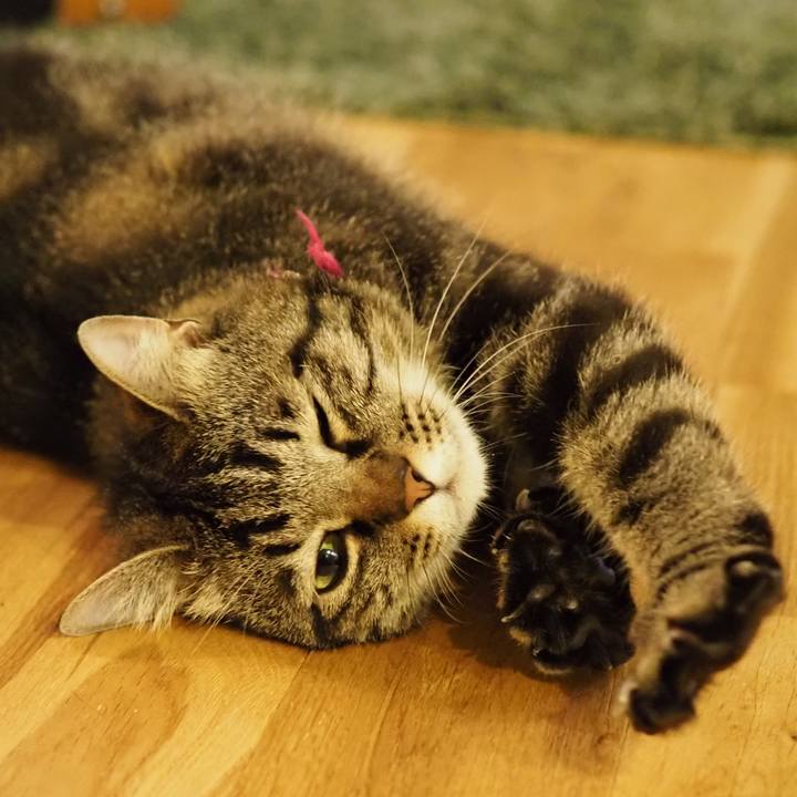 4b5588b0 d7dd 4a62 8d46 7d0ccdc0dcda 1626013181062